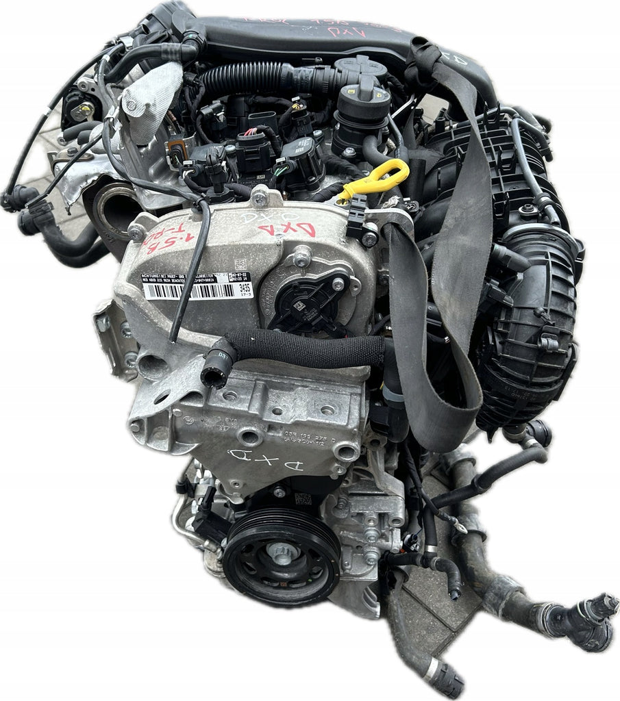 Motor VW Golf VIII I DXD 1.5 TSI 90PS 66kW 20TKm Benzin Engine Komplett