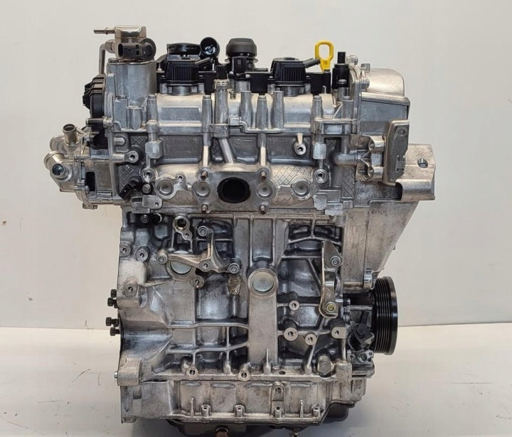 Motor Seat VW Tarraco Tiguan DXD 1.9 TDI 90PS 66kW 53TKm 2023 Benzin Komplett MOT9046812888nw