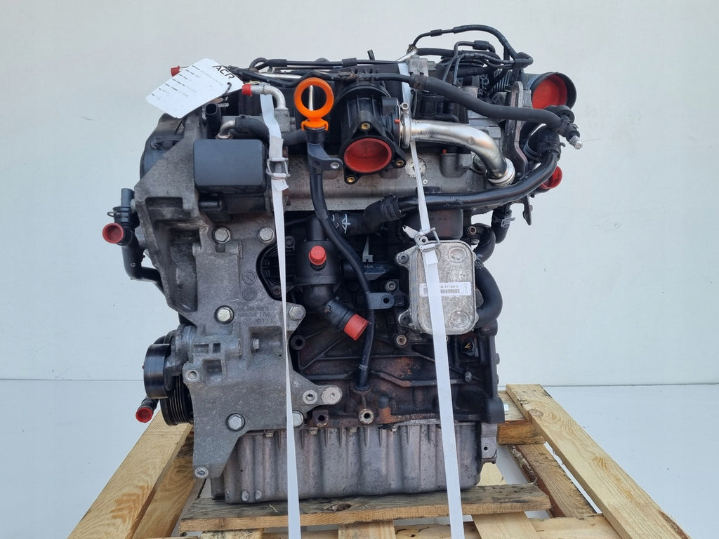 Motor VW Caddy III CAYE 1.6 TDI 75PS 55kW 233TKm 2003 Diesel Engine Komplett