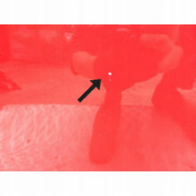 Load image into Gallery viewer, Tür Mercedes-Benz W246 LPK21905 Vorne Rechts Door Porta Porte