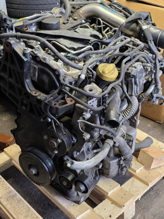 Motor Nissan Renault X-Trail I Qashqai Koleos M9RX866 2.0 DCI Diesel Komplett MOT5589159937sx