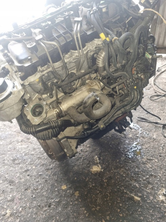 Motor Ford Focus HHDA 1.6 TDCI 90PS 66kW Diesel Engine Komplett MOT2823715665sb