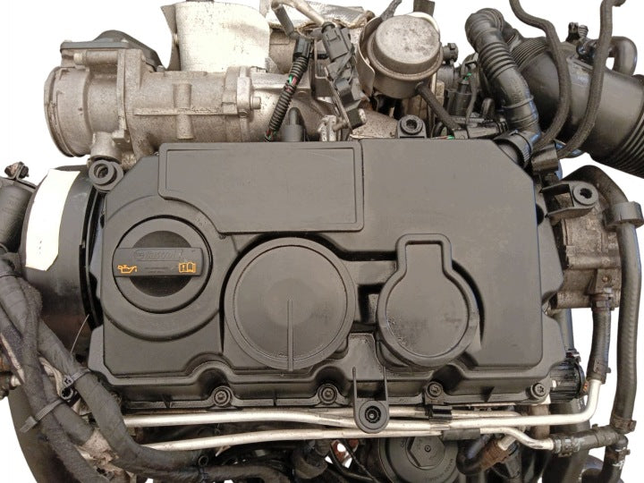 Motor Audi A3 BLS 1.9 TDI 105PS 77kW 258TKm Diesel Engine Komplett MOT8843505749yw