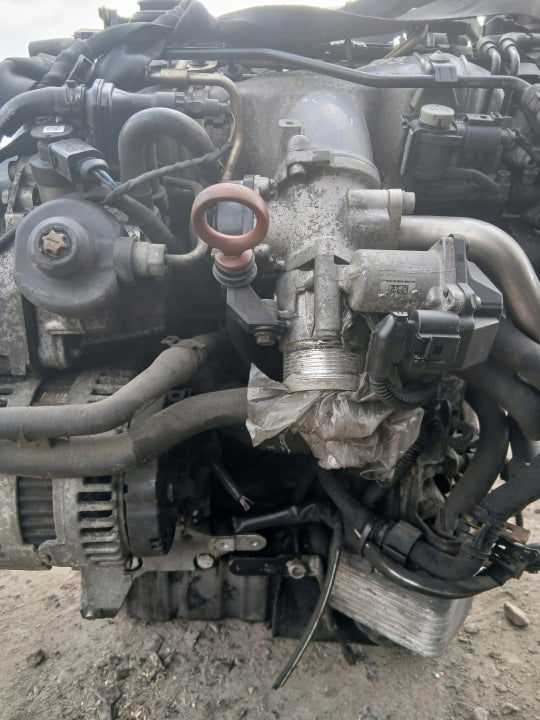 Motor Audi Seat Skoda VW I CBA 2.0 TDI 194TKm 2008 Diesel Engine Komplett MOT6771308054ev