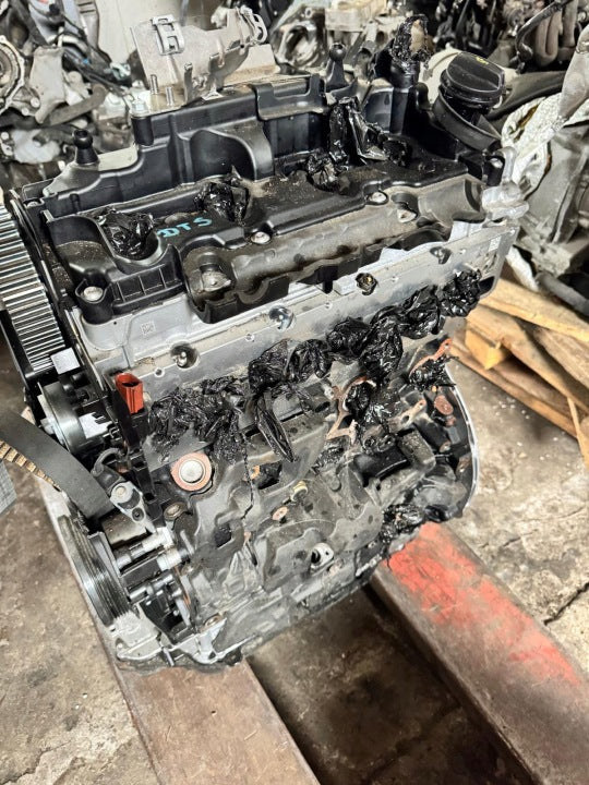 Motor Audi Seat Skoda VW I DTS 2.0 TDI 15TKm Diesel Engine Unkomplett MOT9679384655nf