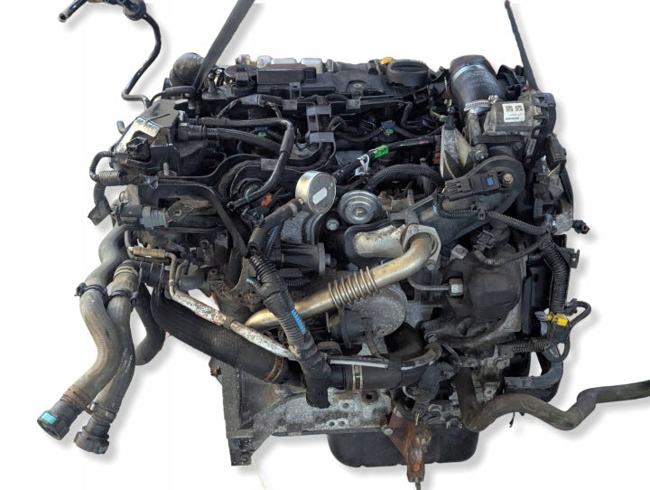 Motor Ford Fiesta II Fbd DV5FD 1.5 TDCI 97PS 71kW 2012 Diesel Engine Komplett MOT8939019230dy