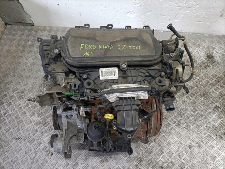 Motor Ford Kuga I UFMA D4204T 2.0 TDCI Diesel Engine Unkomplett MOT3632383547bw