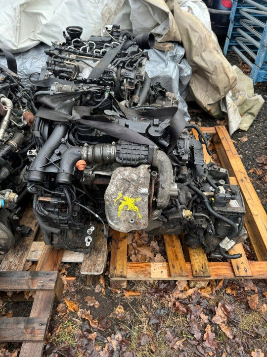 Motor Citroën Ford Fiesta II Fbd BEE 1.6 97PS 71kW Diesel Engine Unkomplett MOT3295075219ht