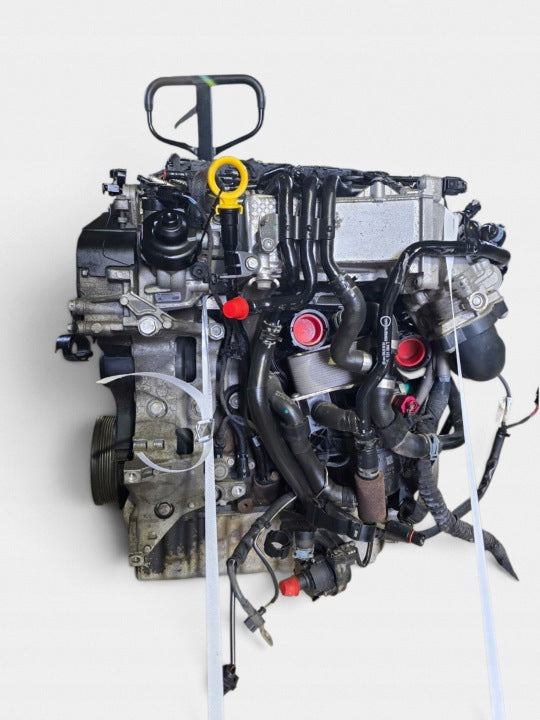 Motor VW Caddy DFSD DFS 2.0 102PS 75kW 2019 Diesel Engine Unkomplett MOT1794954318ol
