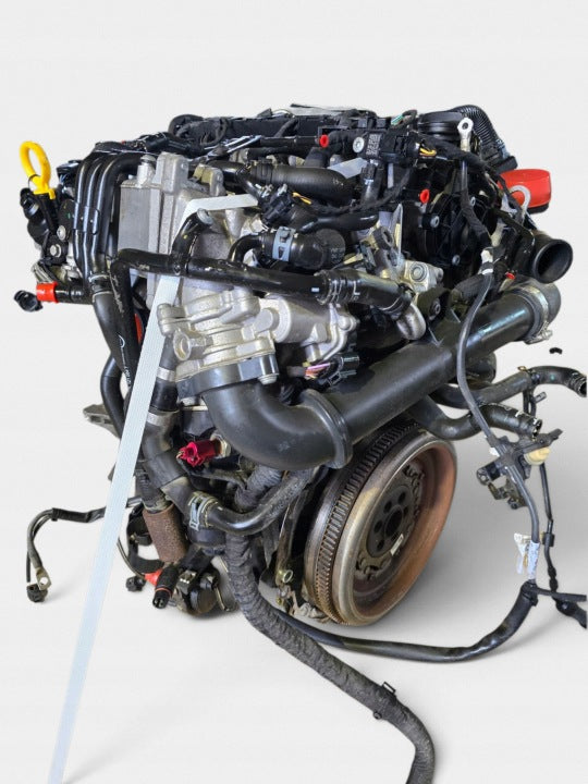 Motor VW Caddy DFSD DFS 2.0 102PS 75kW 2019 Diesel Engine Unkomplett MOT1794954318ol