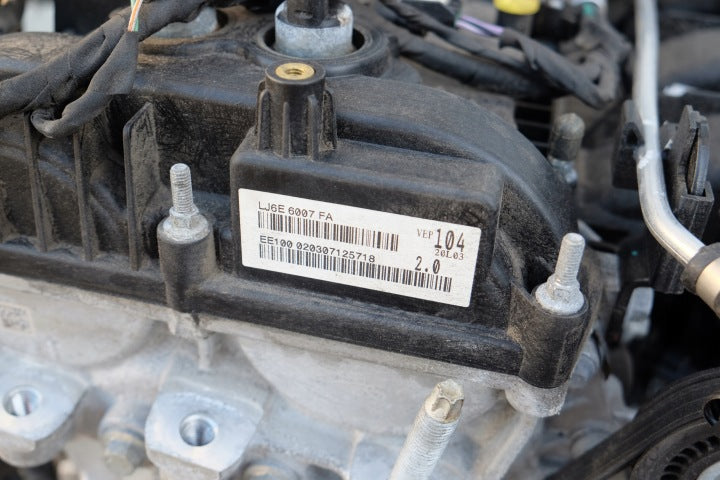 Motor Lincoln LJ6E 2.0 2021 Benzin Engine Komplett MOT4837425546dw