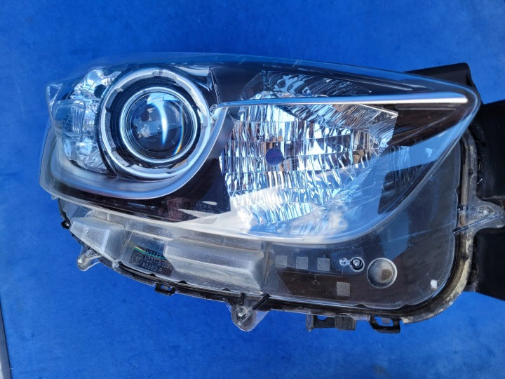 Frontscheinwerfer Mazda Cx5 Cx-5 KD5451030J Xenon Rechts Scheinwerfer Headlight SCH4881216720qe