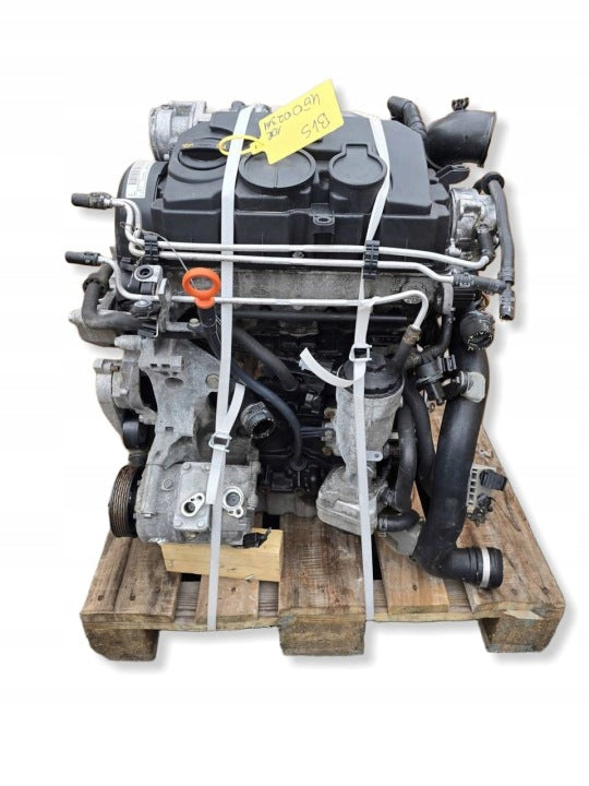 Motor Skoda VW I BLS 1.9 TDI 134TKm 2010 Diesel Engine Komplett MOT2530423253bn