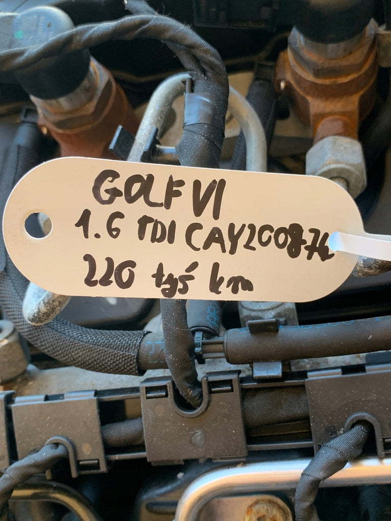 Motor Audi Seat Skoda VW I CAY CAYC 1.6 TDI 105PS 220TKm Diesel Engine Komplett