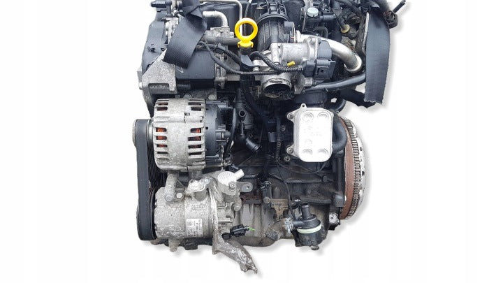 Motor Audi Seat Skoda VW I CAY 1.6 TDI 74TKm Diesel Engine Komplett MOT9788811909un