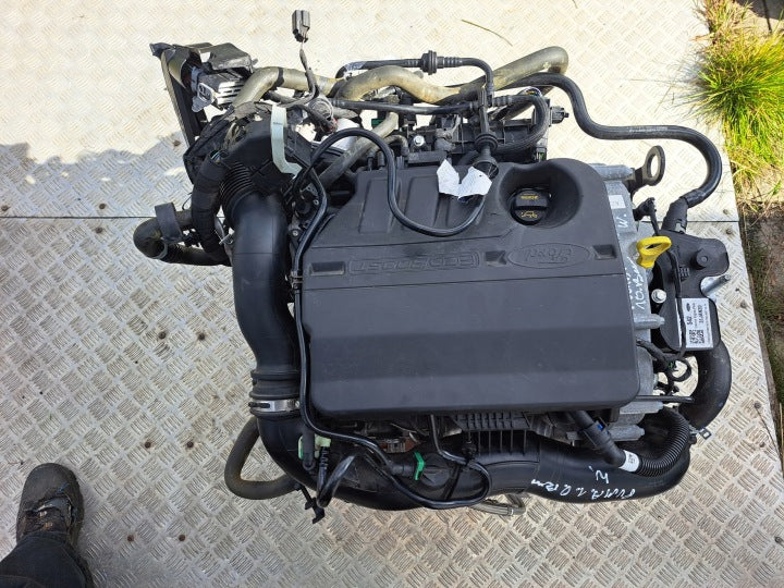 Motor Ford Puma BZJA 1.0 155PS 114kW Benzin Engine Komplett MOT6132078673uc