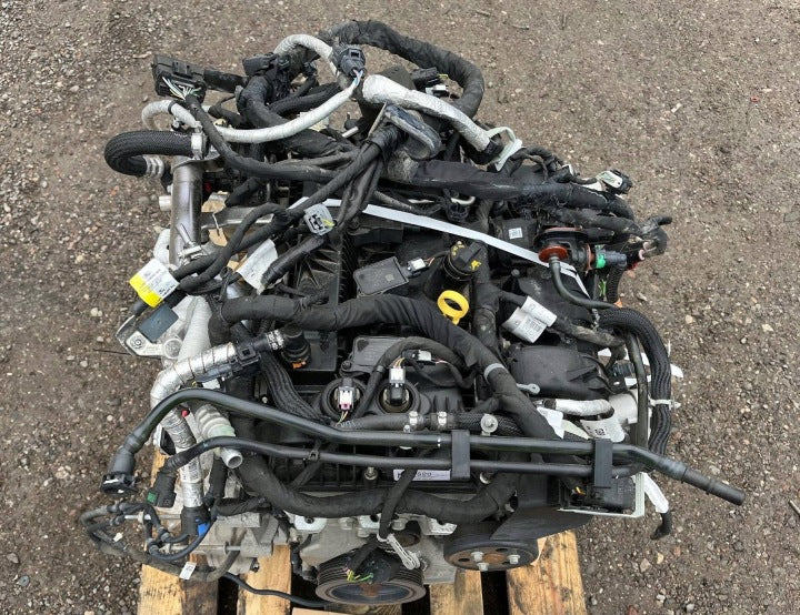 Motor Ford Fiesta II Fbd LB5E-6007-BA 2.3 97PS 71kW 2019 Benzin Engine Komplett MOT6004739522qa