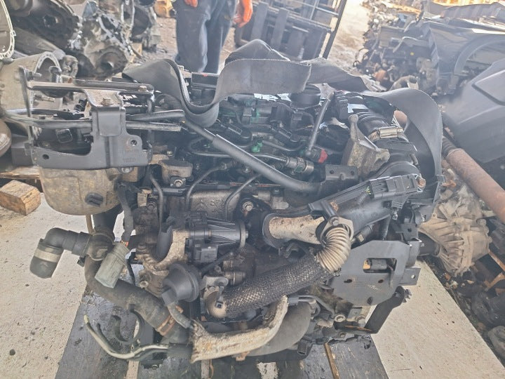 Motor Ford Mondeo T1BB 1.6 TDCI 116PS 85kW 200TKm Diesel Engine Komplett MOT6976639621dh