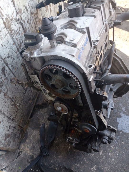 Motor Alfa Romeo Fiat I 955A7000 1.4 135PS 99kW 99TKm Benzin Engine Unkomplett MOT3105786257ge