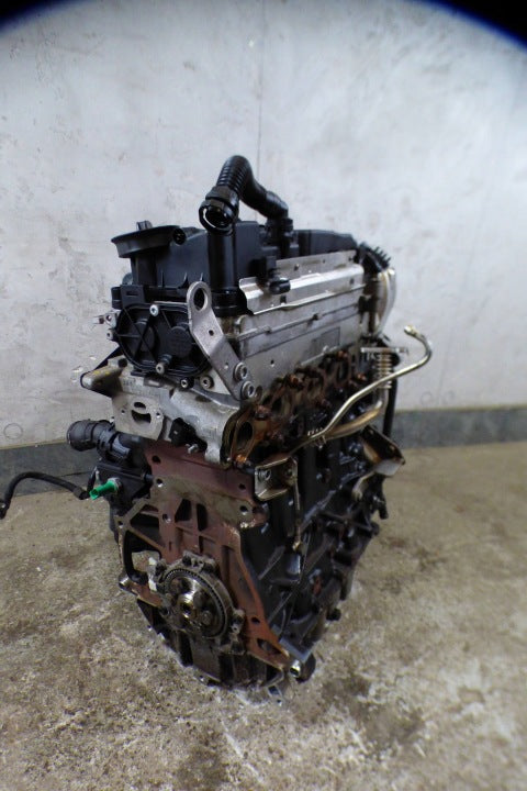 Motor VW Golf VII BDB CLH397539 1.6 TDI 90PS 66kW 2013 Diesel Engine Unkomplett MOT5542343504ra