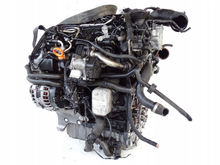 Motor Audi VW A1 Passat B7 CAYC 1.6 TDI 105PS 77kW 169TKm Diesel Engine Komplett MOT4134040452jl