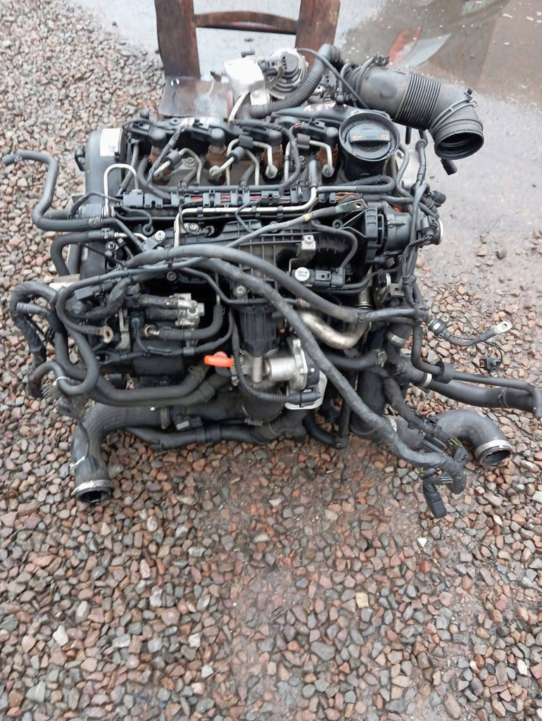 Motor Audi Skoda A3 CAYC 1.6 TDI 105PS 77kW 2008 Diesel Engine Komplett