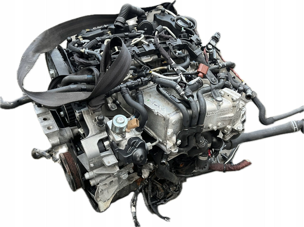 Motor Audi Seat Skoda VW A3 Leon CXXB DBKA CRKB 1.6 TDI 82TKm Diesel Komplett