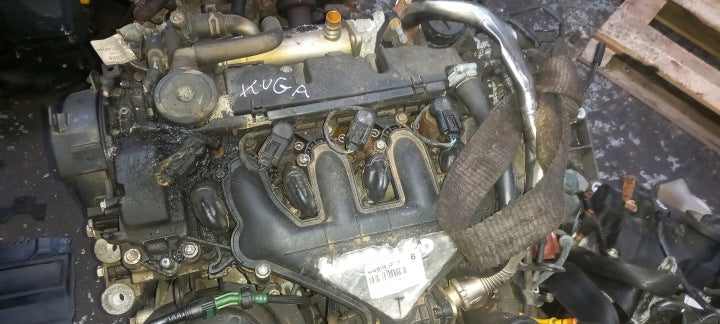 Motor Ford Kuga I G6DG 2.0 TDCI 136PS 100kW Diesel Engine Komplett MOT5480533915ba
