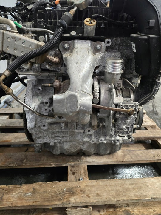 Motor Ford Fiesta II Fbd K2GE-6007-CA 2.0 97PS 71kW 2019 Benzin Unkomplett MOT1532468257lf