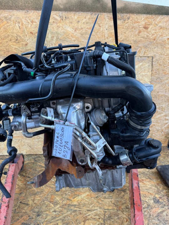 Motor Ford Puma BZJA 1.0 155PS 114kW 38TKm Benzin Engine Komplett MOT9944574754wy