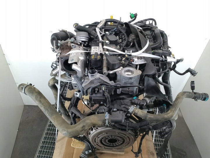 Motor Ford Focus SFJC 1.0 2021 Benzin Engine Unkomplett MOT5242745519ho