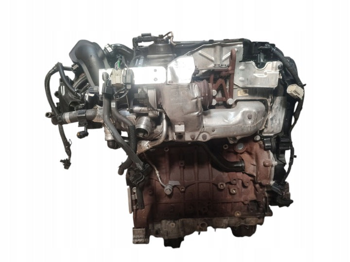 Motor Ford T8CM 2.0 TDCI 180PS 132kW 172TKm Diesel Engine Komplett MOT6913070909wp