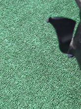 Laden Sie das Bild in den Galerie-Viewer, Frontscheinwerfer Mitsubishi Asx Bi-Xenon Links Scheinwerfer Headlight