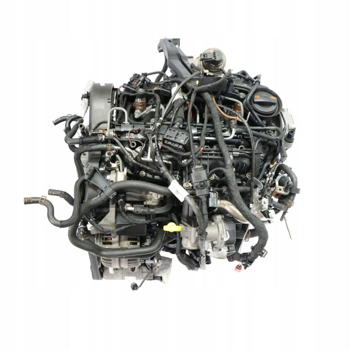 Motor VW Caddy III CAYE 1.6 TDI 75PS 55kW 159TKm Diesel Engine Unkomplett MOT2262860554rk