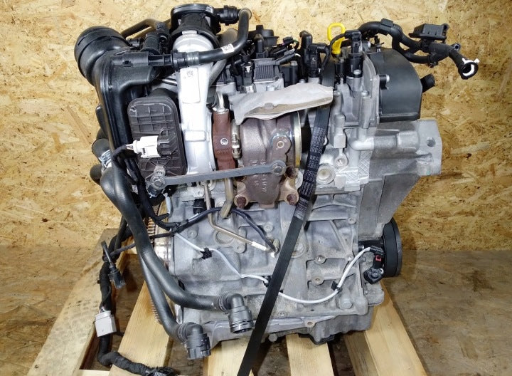Motor Audi Seat Golf VIII DPC 1.5 TSI 150PS 110kW 61TKm 2022 Diesel Komplett MOT9242498846ih