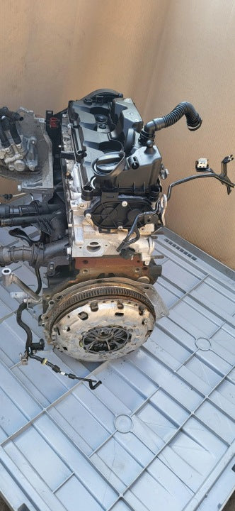 Motor Audi Renault VW I Passat Touran DFG 2.0 TDI 150PS 110kW Diesel Komplett MOT1095024545ri