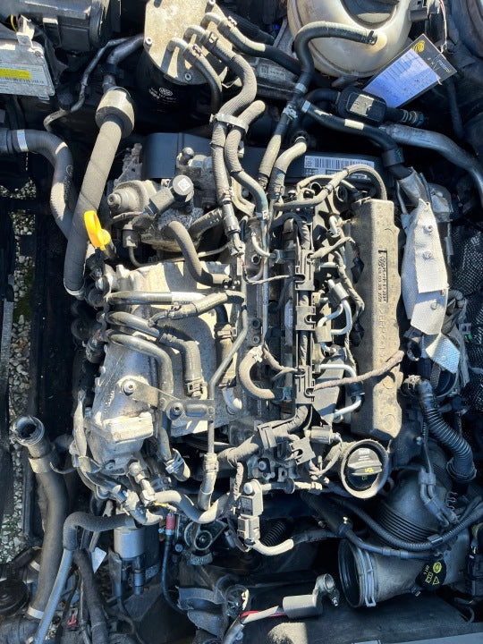Motor Audi Seat Skoda VW I CKF 2.0 TDI 90PS 66kW 149TKm Diesel Engine Komplett MOT6519430292cu