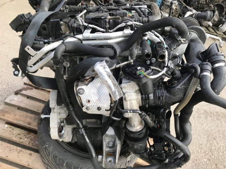 Motor Land Rover Range I Sport L494 PT204 2.0 Benzin Engine Komplett MOT7269185798ib