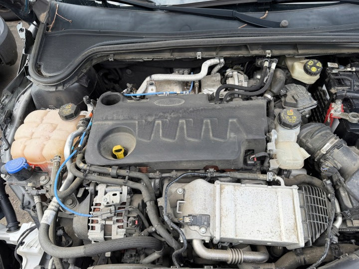 Motor Ford Focus YLDA 2.0 TDCI 150PS 110kW 50TKm 2020 Diesel Engine Komplett MOT6444608170uu