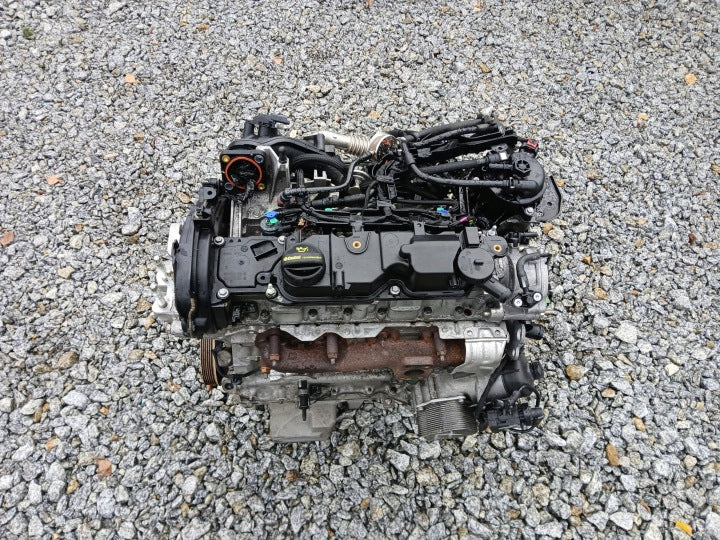 Motor Ford Fiesta II Fbd DV5FD 1.5 TDCI 97PS 71kW 2023 Diesel Engine Komplett MOT7450433248rc