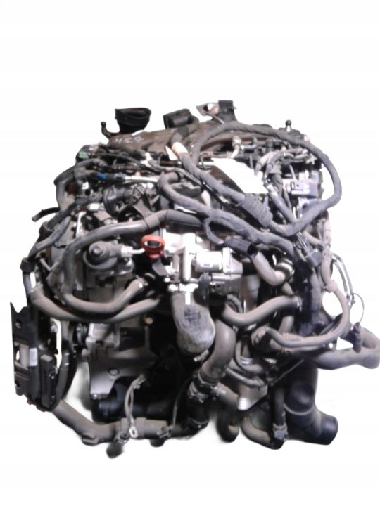 Motor Audi VW A3 B6 Passat CBD 2.0 TDI 140PS 103kW 7TKm 2008 Diesel Komplett MOT4019815612vl