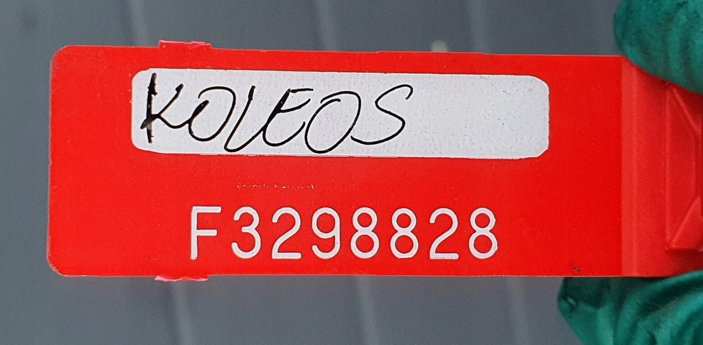 Motor Renault Koleos I M9R830 2.0 DCI 2009 Diesel Engine Komplett