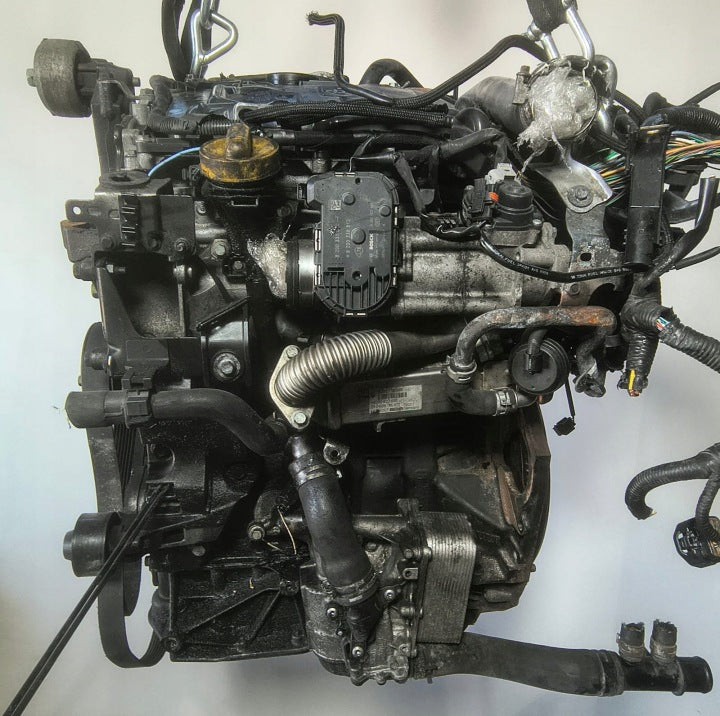 Motor Nissan Renault X-Trail I T31 Koleos M9R832 2.0 DCI Diesel Engine Komplett MOT4612804125db
