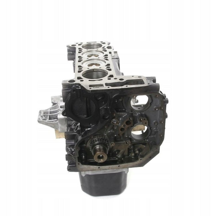 Motorblock Iveco Daily I F1CE3481K 3.0 170PS 125kW Diesel Unkomplett MOT4383913089hx