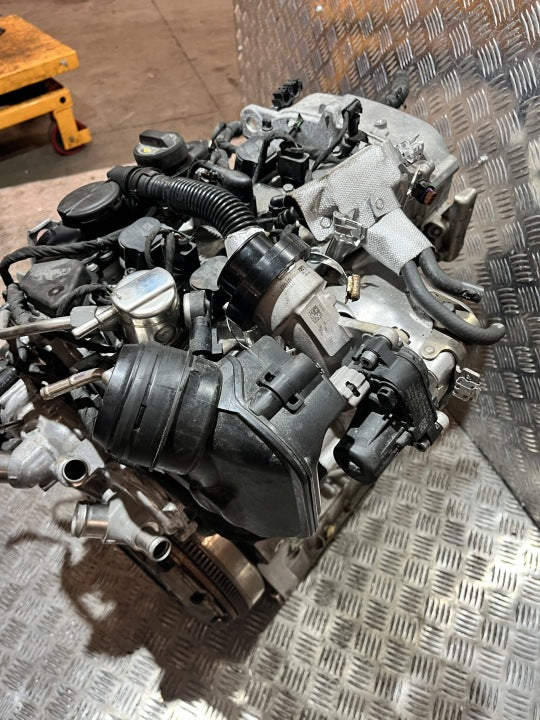 Motor VW Golf VIII I DXD DXDB XK1 1.5 TSI 116PS 85kW 15TKm 2024 Benzin Komplett MOT9964715259ir
