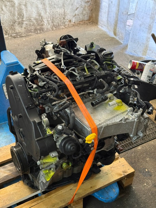 Motor Audi Seat Skoda VW I DFS DFSA DFSB DFSC 2.0 TDI 117TKm Diesel Komplett MOT4597187196wa