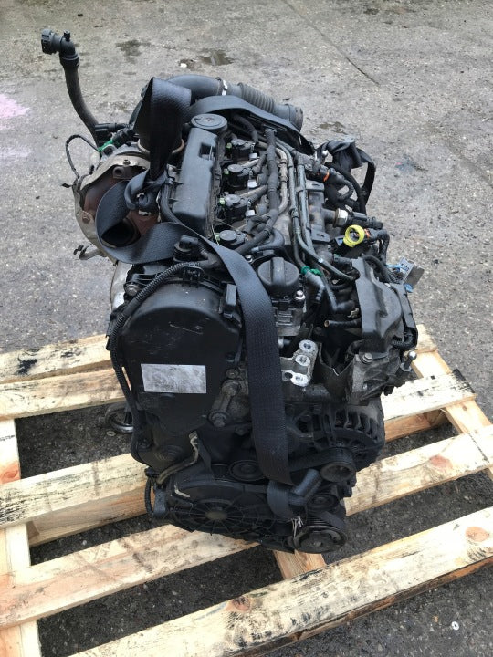 Motor Citroën Peugeot Jumpy Expert AH01 2.0 73PS 54kW Diesel Engine Komplett MOT1481846267ol