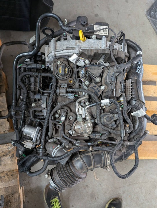 Motor Ford Focus M0DC 1.0 155PS 114kW 2024 Hybrid Engine Komplett MOT1431642731qi