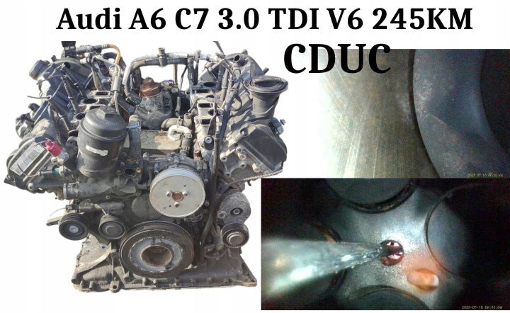 Motor Audi A6 Quattro CDU 3.0 TDI 245PS 180kW Diesel Engine Unkomplett MOT8181048560dh
