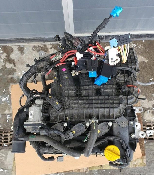 Motor Dacia Sandero II B4D411 1.0 SCE 39TKm 2016 Benzin Engine Komplett MOT7742585833ye